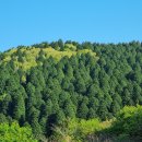 봉래산체육공원 이미지