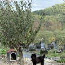 진주수진정원 이미지