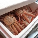 골목칼국수 - 원주시 | 골목칼국수