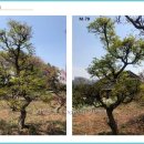 삼보농장 이미지