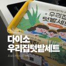 우리집텃밭 | 다이소 식물키우기 세트 후기 <우리집 텃밭세트> 대파와 깻잎