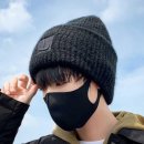 비니펫 이미지