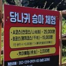 해변 | 우도 검멀레해변 당나귀 타기체험 후기