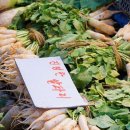 토지금고시장 이미지