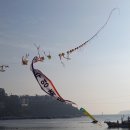 덕포 펭귄 이미지