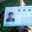 자유농산