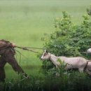 인복농장 이미지