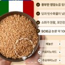 리셋 이미지