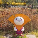 황금나무 | 가을엔 괴산 문광저수지로! 황금빛 은행나무 길 산책 후기