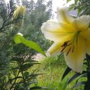 우아농장 이미지