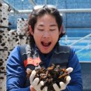 종덕농장 네이버블로그