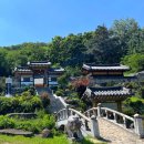 청천나들이 | 경북 성주 가볼만한곳 청천서원 한옥카페 청담1942 시골풍경뷰 심산 김창숙 생가