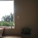 스테이3355 이미지