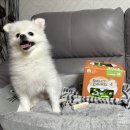 형덴탈 | [펫퍼스 스마일리츄] 양치 싫어하는 강아지도 잘 먹는 덴탈껌 강아지껌