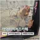 2059 | 대구 아이와 가볼만한 곳 체험형 키즈카페 <아이터치키즈카페> 4살아이 솔직후기