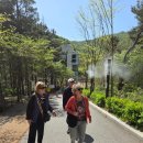 시니어 투어(Senior Tour)