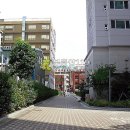 연제구-196 Daum카페