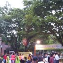 독산1동 분소 이미지