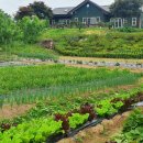 문경의 비밀정원 연휴 이미지