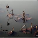 강주연못 이미지