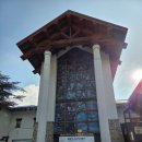 발왕산 관광케이블카 코스 | 강원도 평창 발왕산 상고대 관광 케이블카 후기 할인 팁