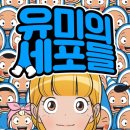 로커스컴퍼니 이미지