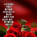 빛나는오늘 이미지