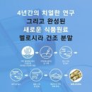만성양식장 | 멜로시라가 뭔지 궁금하시죠? [Q&A포함]