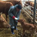 송사농장 이미지