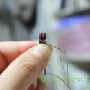 매듭·규방공예 이미지