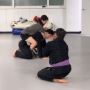 경기광주 주짓수 킥복싱 이미지