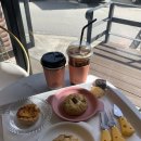 별에서온쑥