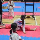 라라태권도 이미지