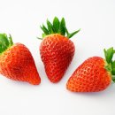 싱싱딸기 이미지
