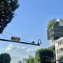 20230720 코로나 걸렸다