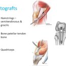 마디세상병원 이미지