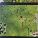 청주 뷰 좋은 산 추천｜양성산(팔각정) 정상에서 본 풍경이 다 했어요