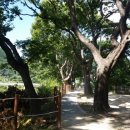 양평1리 경로당 이미지