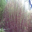 어둔동 마을회관 이미지