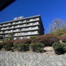 참깨비마을 | 일본 3대 온천 아리마 온천 쵸라쿠 료칸 객실 &amp; 금탕·은탕 온천 후기(1편)