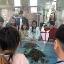 신전초등학교 이미지