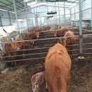 놀이터숯불구이 이미지