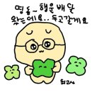 6즙 네이버블로그
