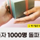 블루베라