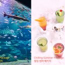 수원-1179 이미지