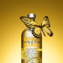 엡솔루트 이미지