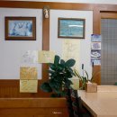 손가네밀면 - 양산시 덕계7길 5-3 | [제주] 탑동광장 흑돼지거리 근처 밀면 손가네밀면 솔직후기