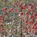 호경농장 이미지