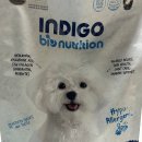 포독포독 | 인디고 바이오뉴트리션 포 독 하이포알러제닉 후기