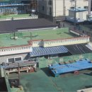 하대동154 이미지